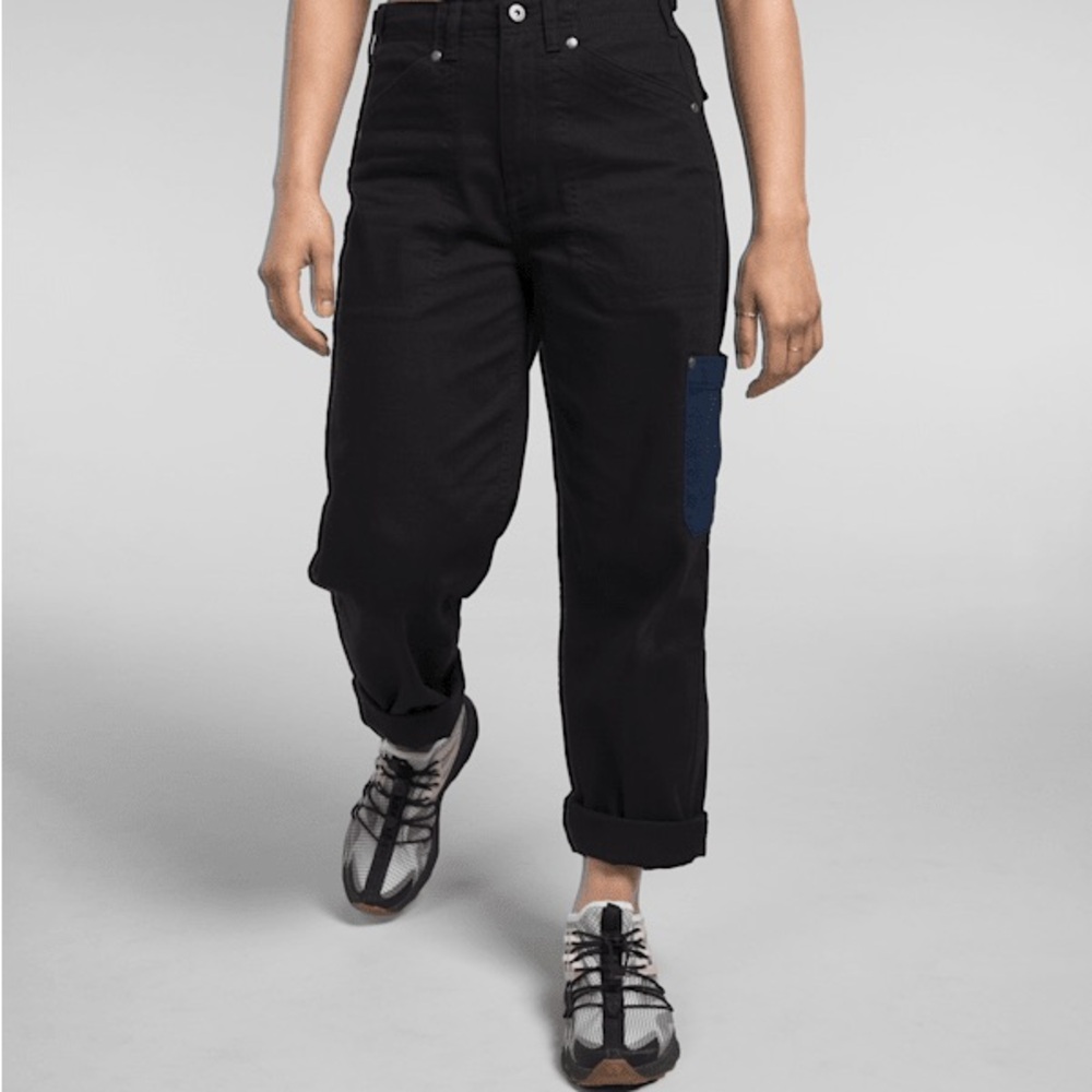 The North Face NWT field pant
